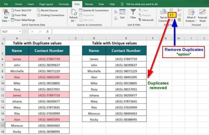 When to use remove duplicates in excel?