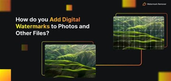 When to use watermarks?