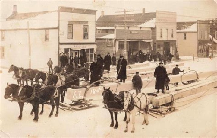 When was mesick michigan founded?