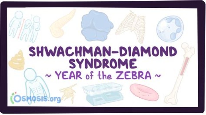 When was shwachman-diamond discovered?
