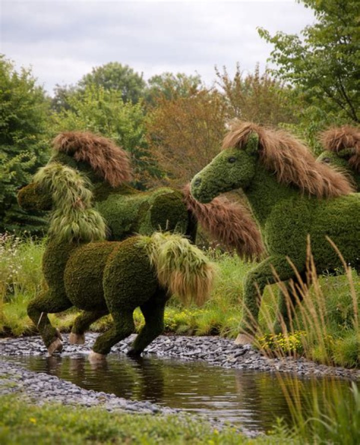 When was topiary discovered?