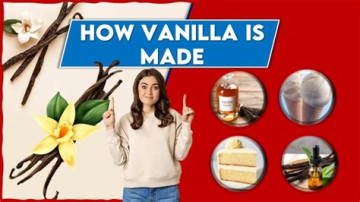 When was vanilla made?