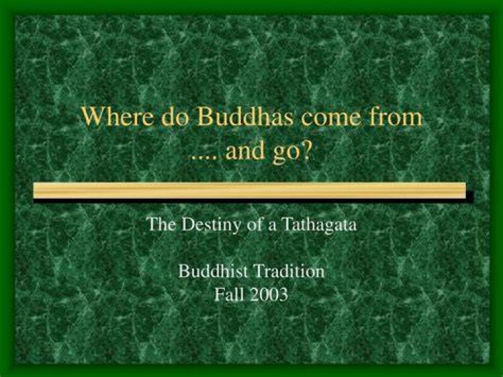 Where do buddhas come from?