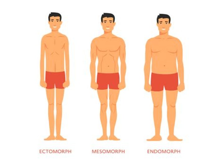 Where do ectomorphs store fat?