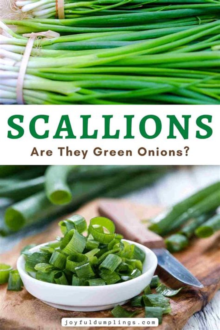Where do scallions originate from?