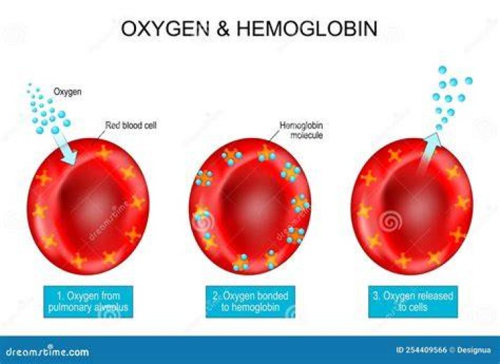 Where do you find carboxyhemoglobin?