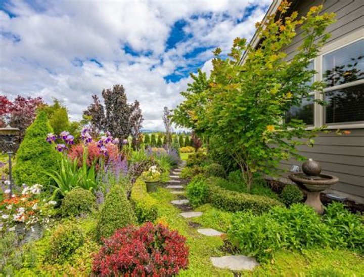 Where does backyard builds take place?