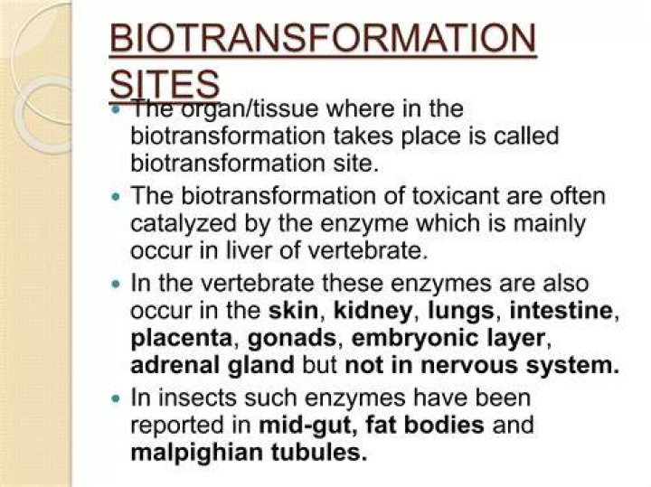 Where does biotransformation occur?