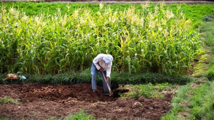 Where does intensification mean?