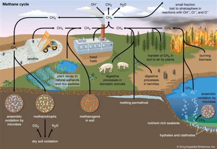 Where does methane come from naturally?