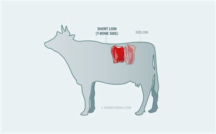 Where does tbone come from?