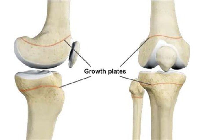 Where growth plates are located?