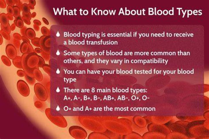 Where is b blood type from?