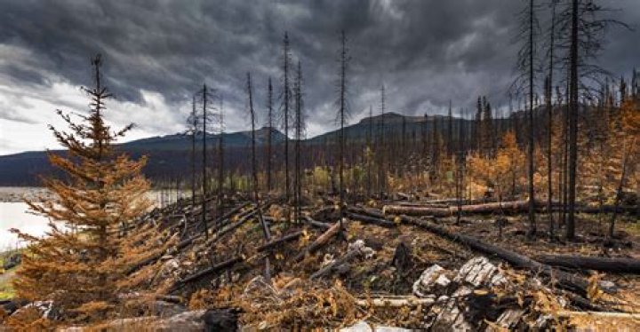 Where is beechy creek fire?