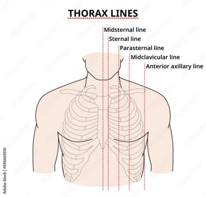 Where is midaxillary line located?