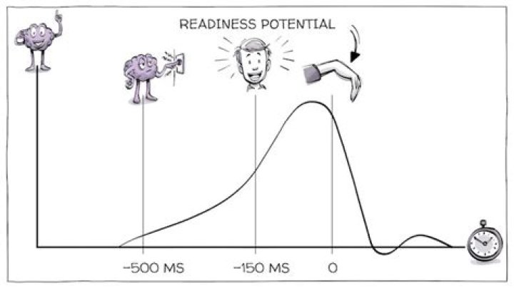 Where is the readiness potential?