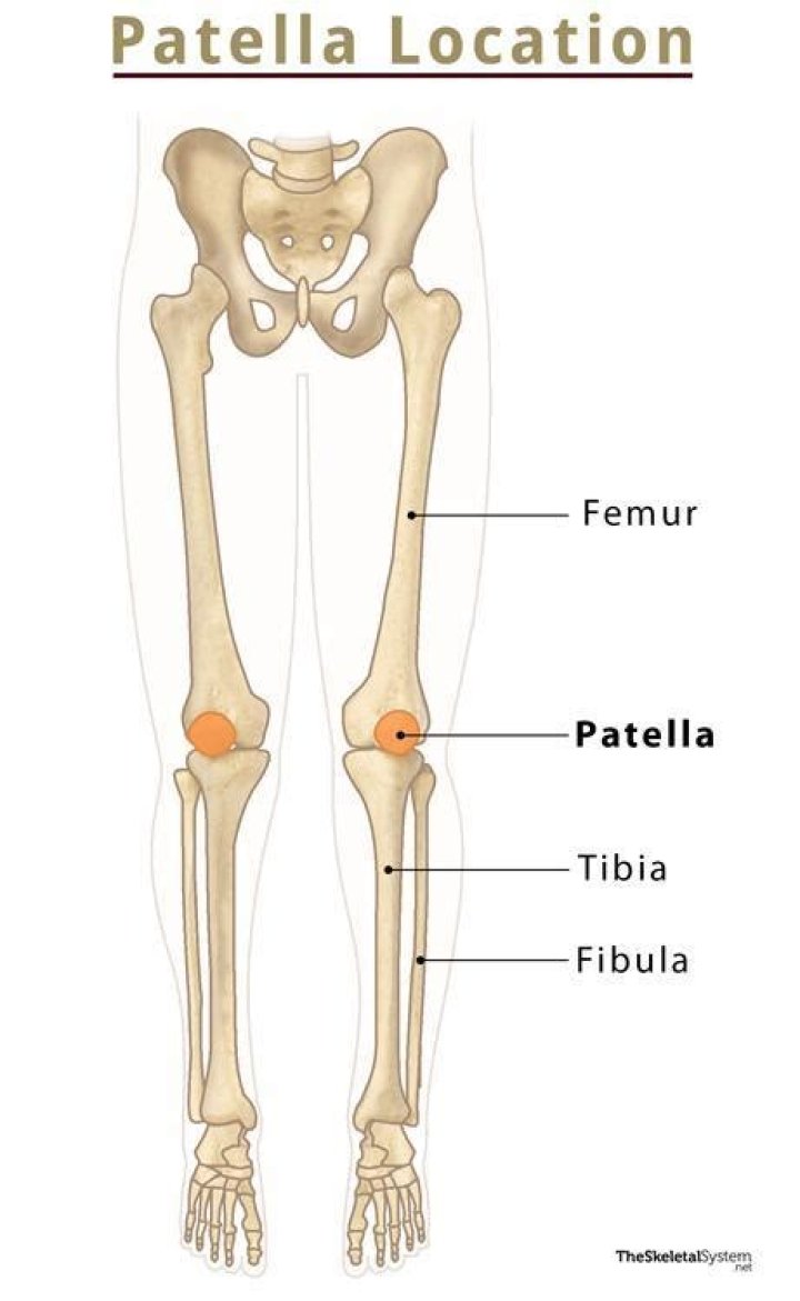 Where is your patella?