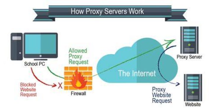Where proxy server is located?