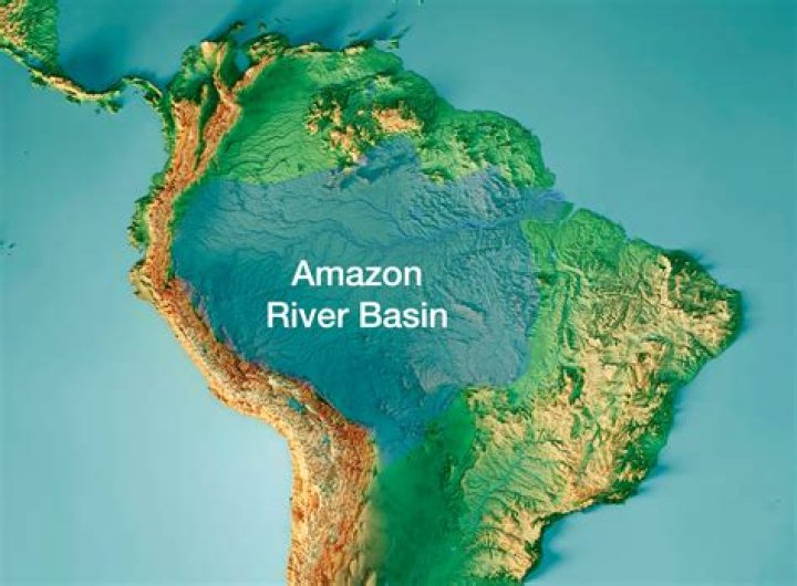 Where s the amazon?