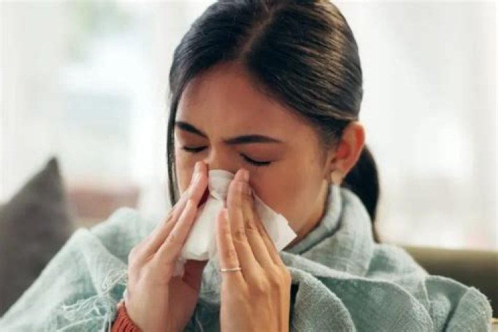 Where snot come from?