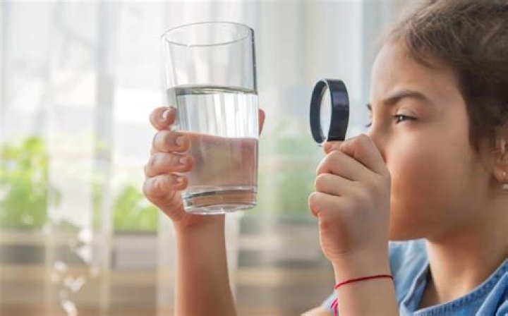 Where to get water sample tested?