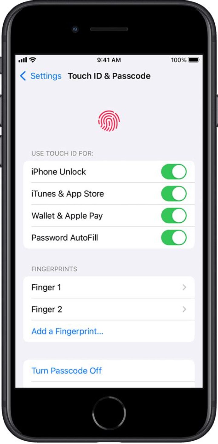 Where touch id iphone 6?