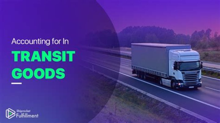 Which are goods in transit?
