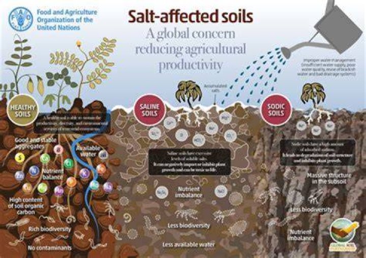 Which causes inversion of soil?