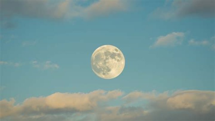 Which chapman brother dated the moon?