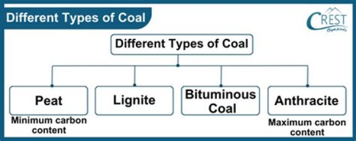 Which coal has no caking power?