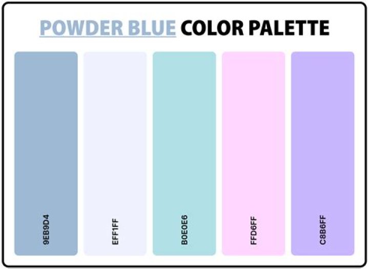 Which colour goes with powder blue?