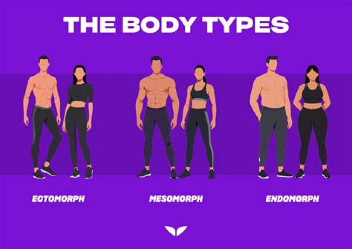 Which describes an ectomorph body type?