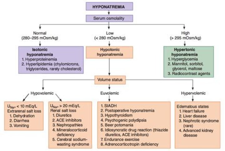 Which diuretics cause hyponatremia?