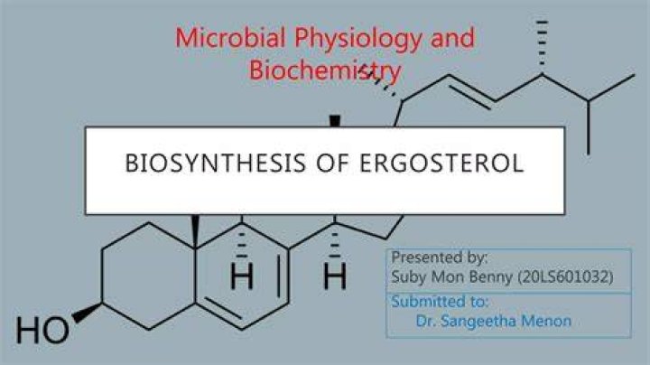 Which enzyme combination is involved in ergosterol biosynthesis?