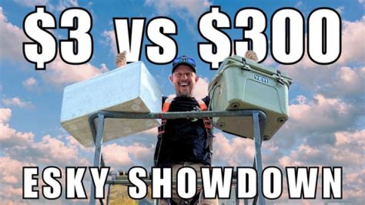 Which esky is best?
