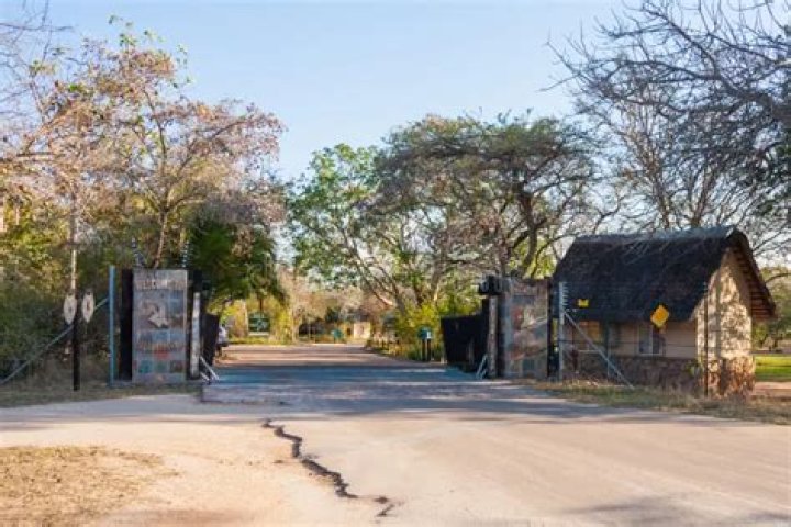 Which gate for pretoriuskop?