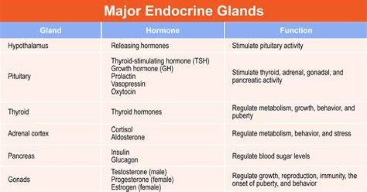 Which gland secretes dmt?