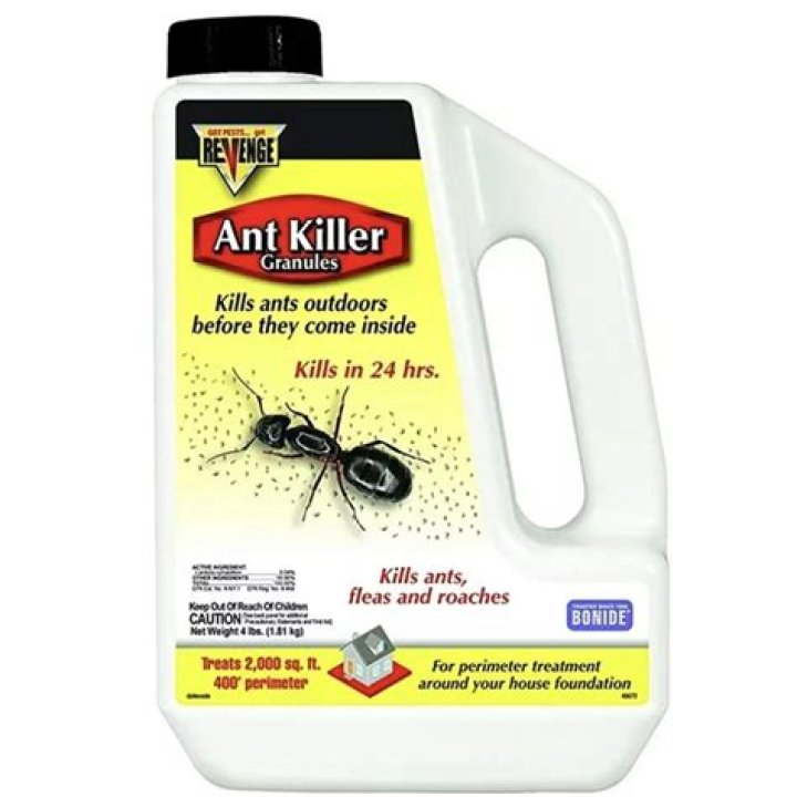 Which is the best ant killer?