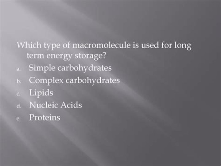 Which macromolecule stores energy?
