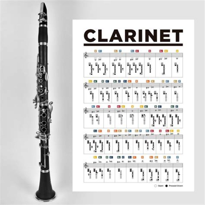 Which reed for beginner clarinet?