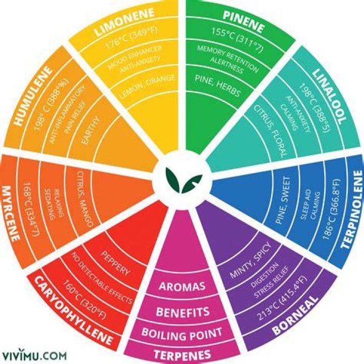 Which terpene is skunky?