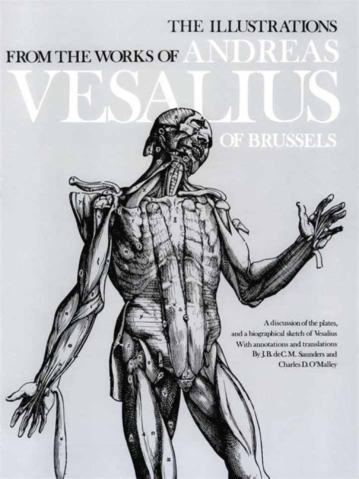 Who did andreas vesalius prove wrong?