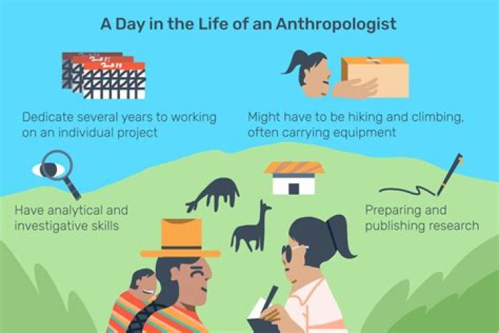 Who do anthropologists work for?
