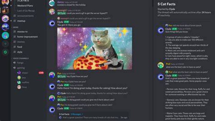Who is clyde bot?