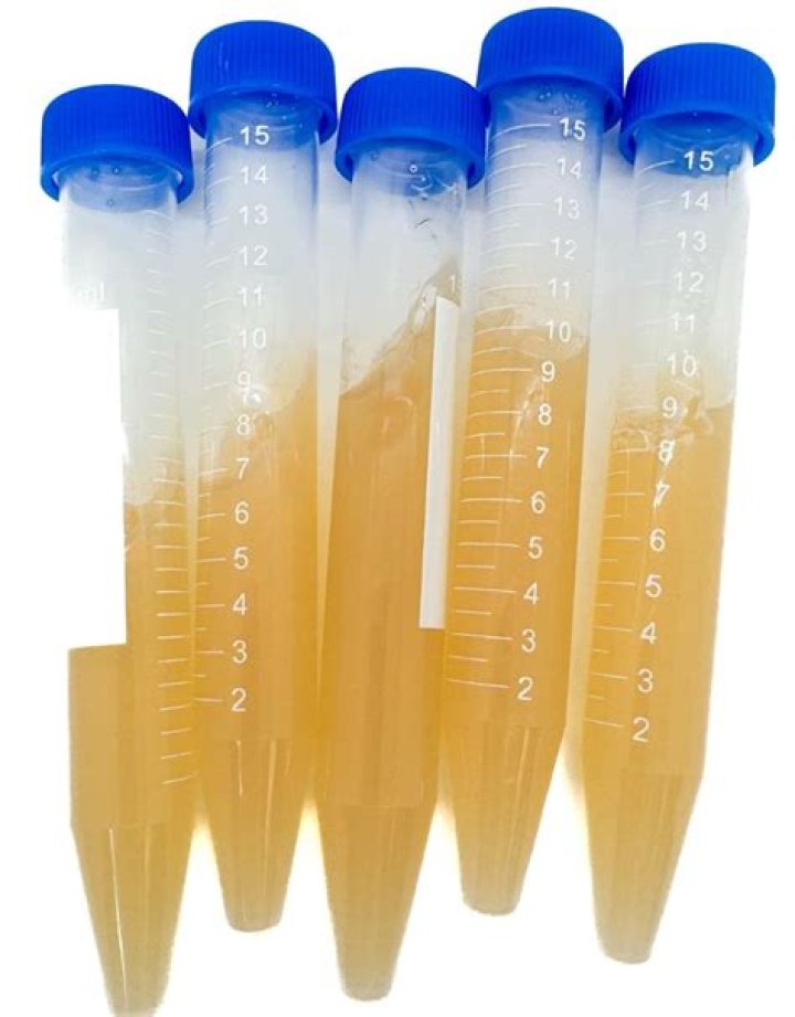 Why are agar slants better?