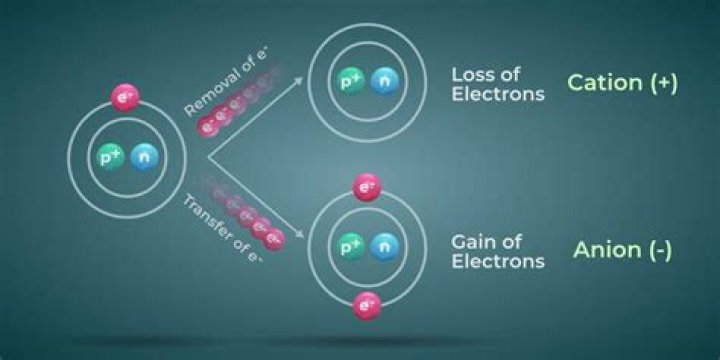 Why are cations bigger than anions?