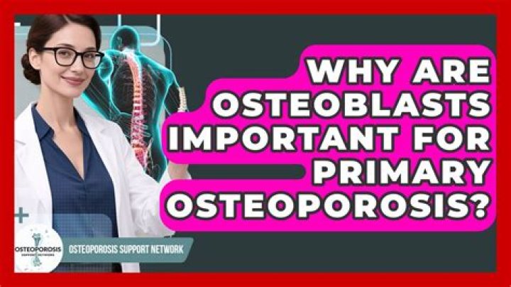 Why are osteoblasts important?