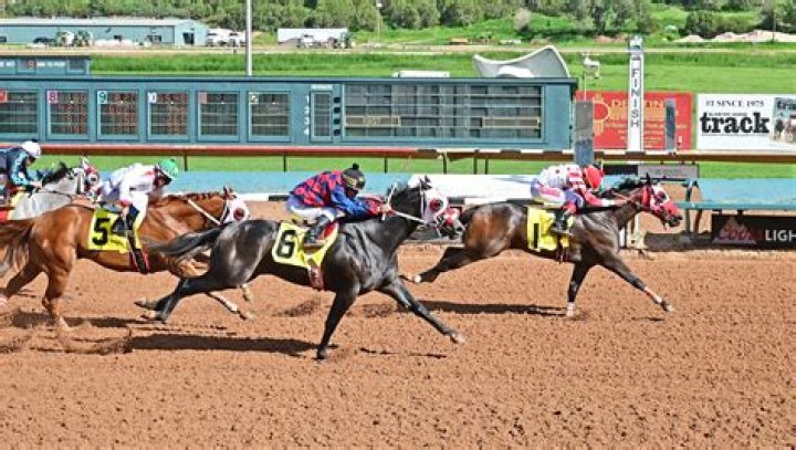 Why are race tracks called downs?