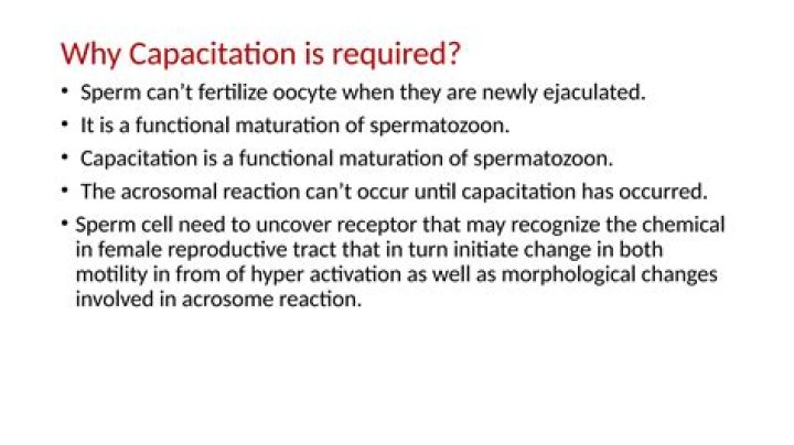 Why capacitation is important?