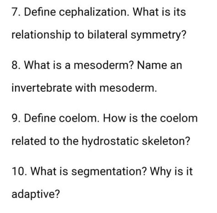Why cephalization was important?
